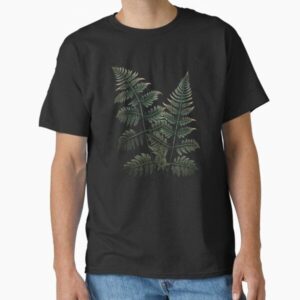 Fern Leaves Botanical Illustration