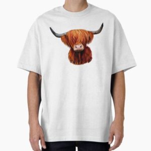 Hairy Scottish Highland Cow