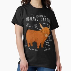 Highland Cow Anatomy